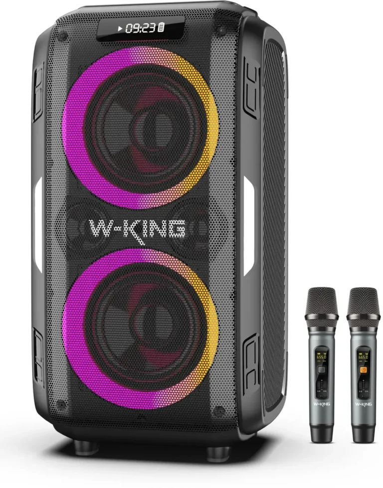 Портативная колонка W-King T9 PRO (Two mic) 1